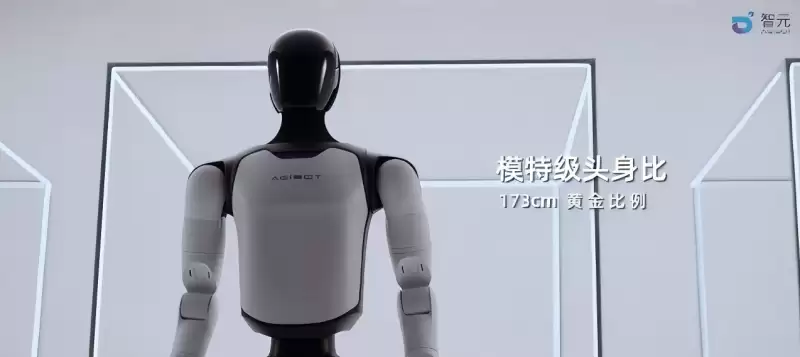 ��Ԫ����Զ��A3ȫ�ߴ����λ����ˣ�10Сʱ����ˢ�¼�¼��֧�ֿ��������뼯Ⱥ����