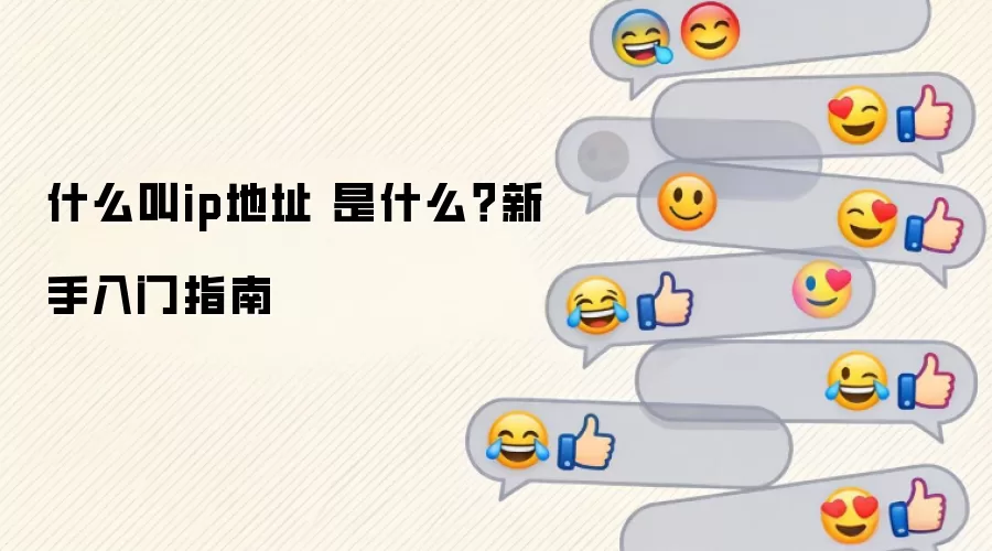 ʲô��ip��ַ ��ʲô����������ָ��