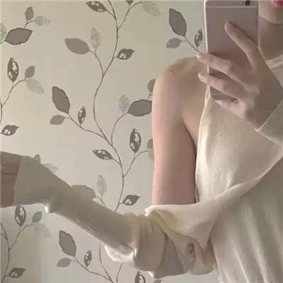 ������Ӣ����Ů������(��ѡ100��)