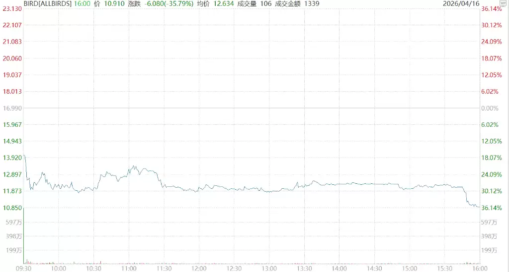 Allbirds��AI��ֻ����һ�죬��������582%�����ĵ��ձ���36%
