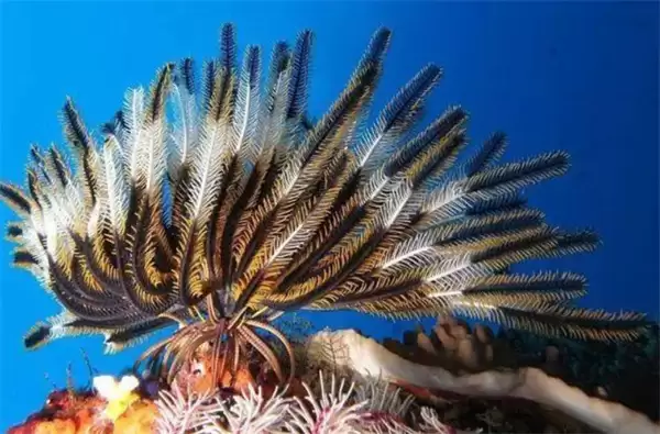 ���溣��4��17�ս��մ�2026