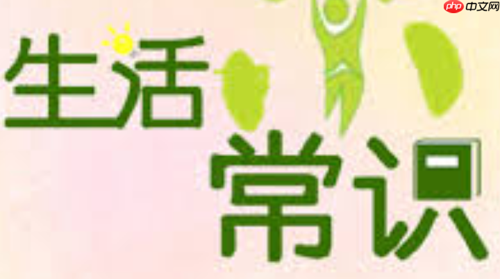 �ֻ�����ͷģ���Ĳ����_������ͷ�ҳ���Խ��Ų�