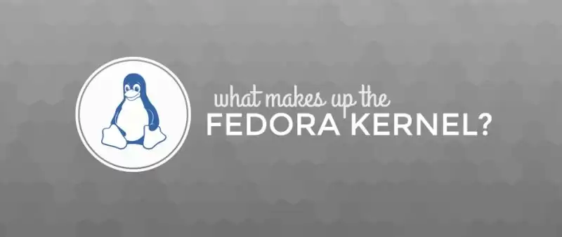 Fedora�ں˹��ɳɷ���ʲô?