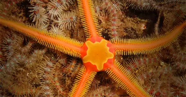 ���溣��4��16�ս��մ�2026