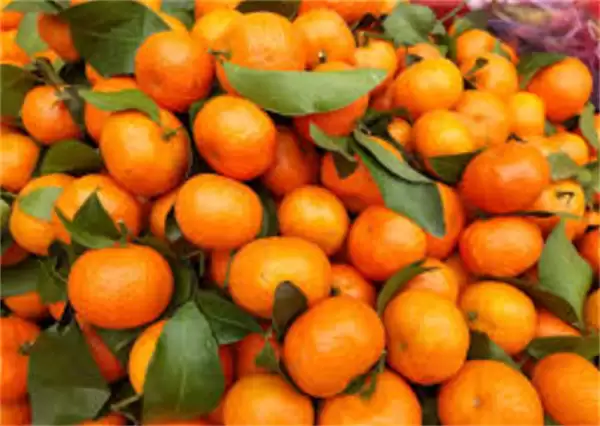 ����ׯ԰4��17�ս��մ�2026