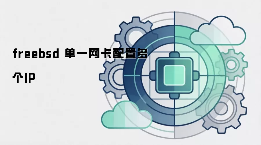 freebsd ��һ�������ö��IP