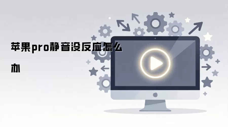 ƻ��pro����û��Ӧ��ô��