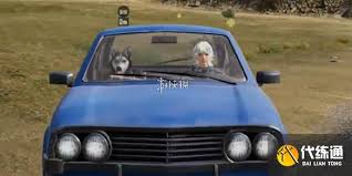 ��ƽ��Ӣս����Ȯ��ô��