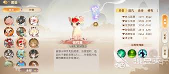 ����ͼǿ�������ô�Ƽ�