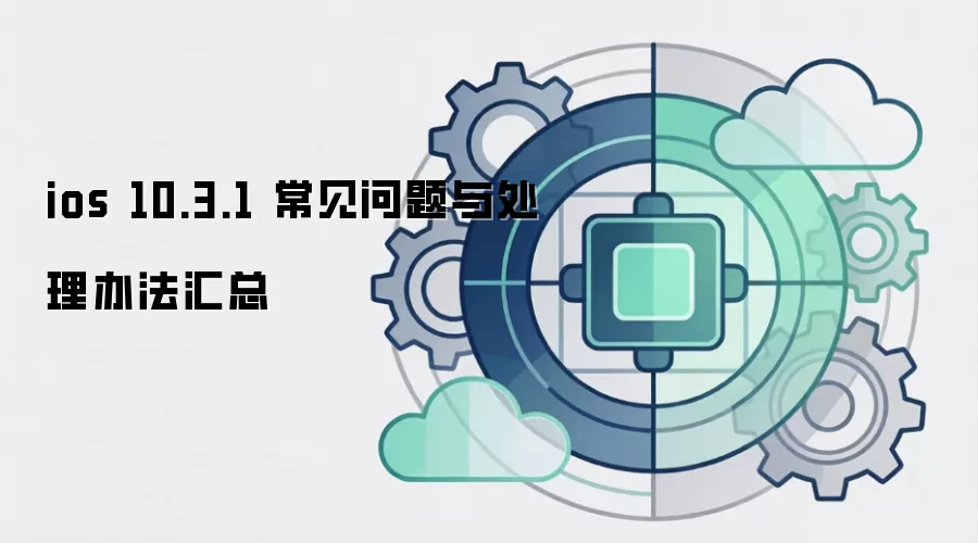 ios 10.3.1 ���������봦���취����