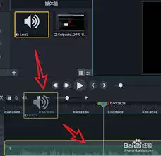 Camtasiaɾ��Ƭ�κ����񲻶�����ô��