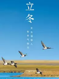 �����İ���ôд