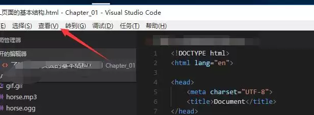 vscode���ʹ���������