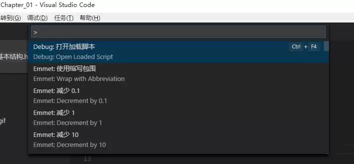 vscode���ʹ���������