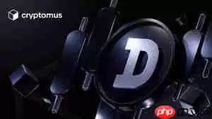 2025��10�¹��������ǵ�����