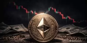 ��̫�����ܻ����������������۸�����ƣ�������������ᷢ��ʲô��