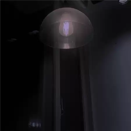 �����˸�����2��Ů��(��ѡ100��)