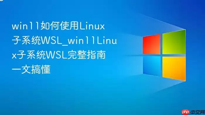 win11���ʹ��Linux��ϵͳWSL_win11Linux��ϵͳWSL����ָ��һ�ĸ㶮