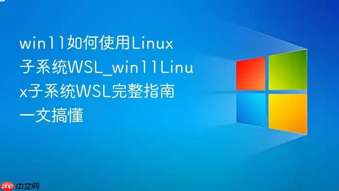 win11���ʹ��Linux��ϵͳWSL_win11Linux��ϵͳWSL����ָ��һ�ĸ㶮