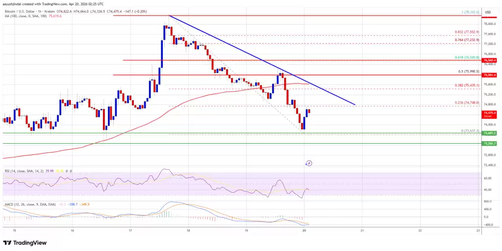 ���رҼ۸�����Ƿ������ṹ��Ȼ����