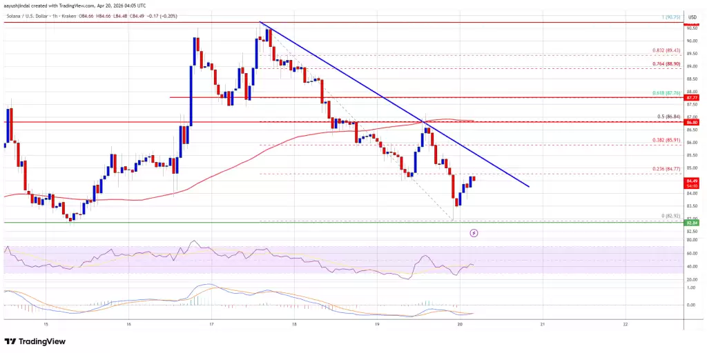 Solana (SOL) �ٴ��������ۣ��Ƿ񼴽�ӭ��������ȵĻص���