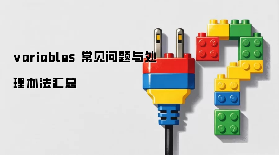 variables ���������봦���취����