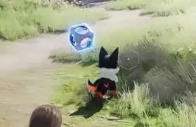 ��Ī�ڲ���α���һֻ��Ī������