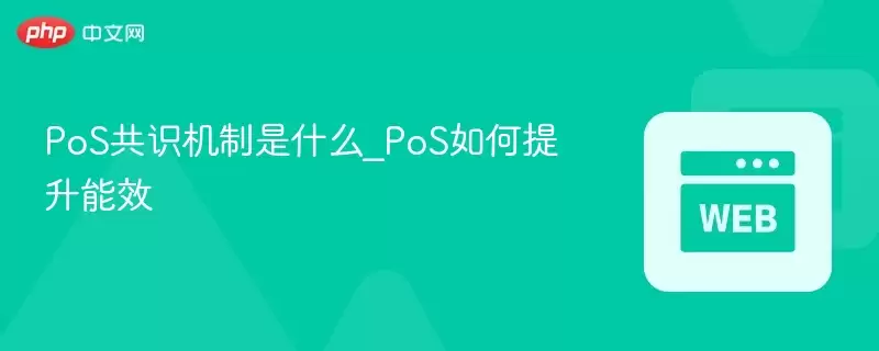 PoS��ʶ������ʲô_PoS���������Ч