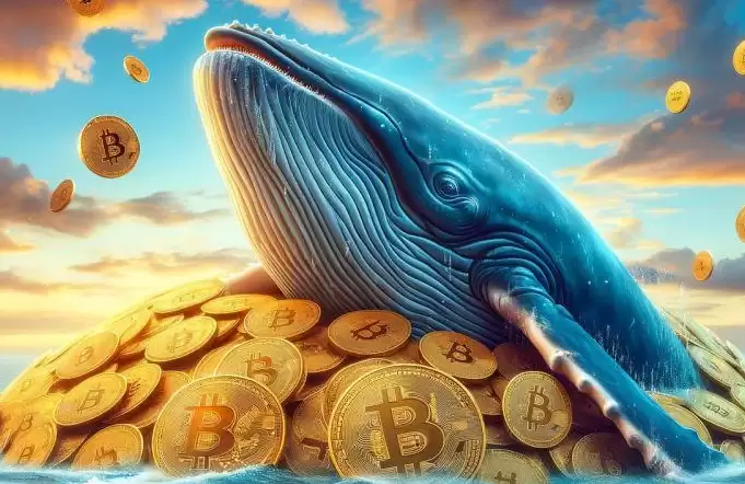 neu����ʲô��