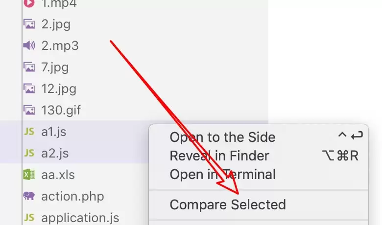 vscode��ô�Ƚ������ļ�������