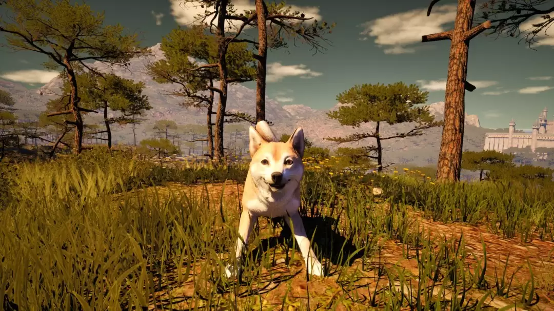 �������ͷ���� �������������ˡ��ϼ�Steamƽ̨