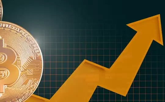 �����ֵ�ó���Ͷ����