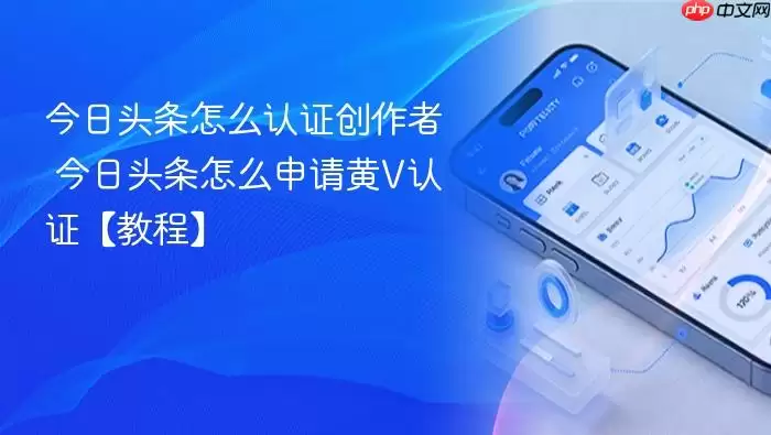 ����ͷ����ô��֤������