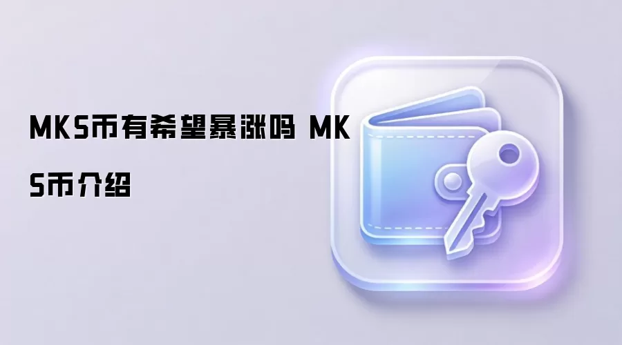 MKS����ϣ�������� MKS�ҽ���