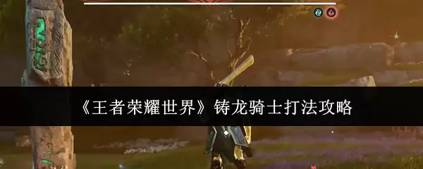 ��������ҫ���硷������ʿ�򷨹���