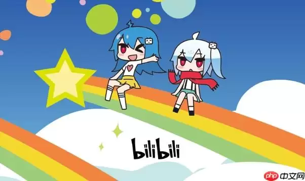 �ֻ���������ֻ��bվ�򲻿� Bվ�޷����ʵ�5�ֽ������