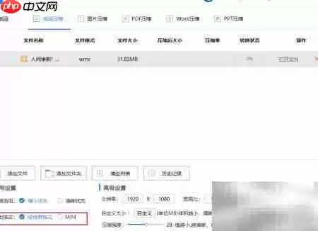 WMVתMP4����