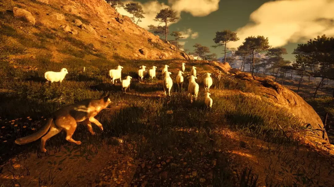 �������ͷ���� �������������ˡ��ϼ�Steamƽ̨