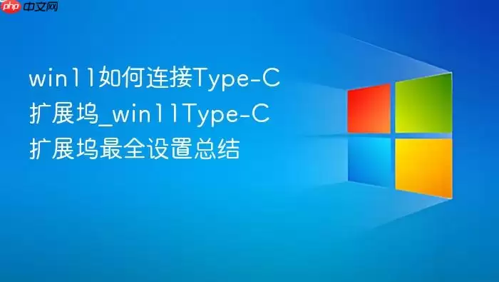 win11�������Type