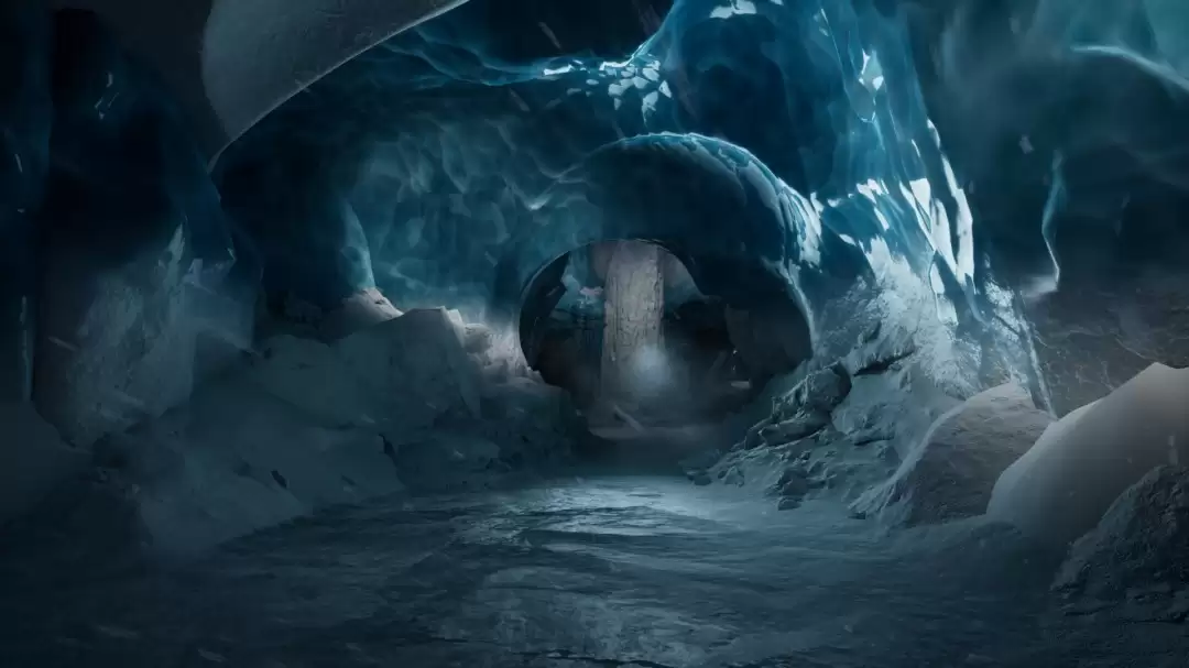 ����Ѱ�ӣ�������WILL: Follow The Light��5�·���