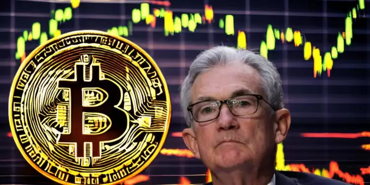 bull����ô��