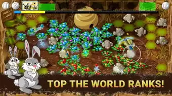 Gardenin�׽������ɾ���ν���-Gardenin�׽������ɾͽ�������