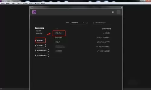 premiere��ô��Ԫ���ݴ���-��Ԫ���ݴ��ڵ���ϸ����