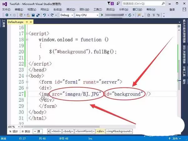 VisualStudio��ô����ҳ����ȫ����ʾ�ı���ͼƬ