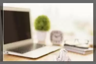 ����Ͱ��ƿͷ��������룿����Ͱ��ƿͷ��������������������ǿ����Ŷ�