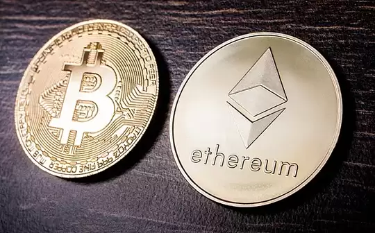 fil����ʲô�ҷ�������