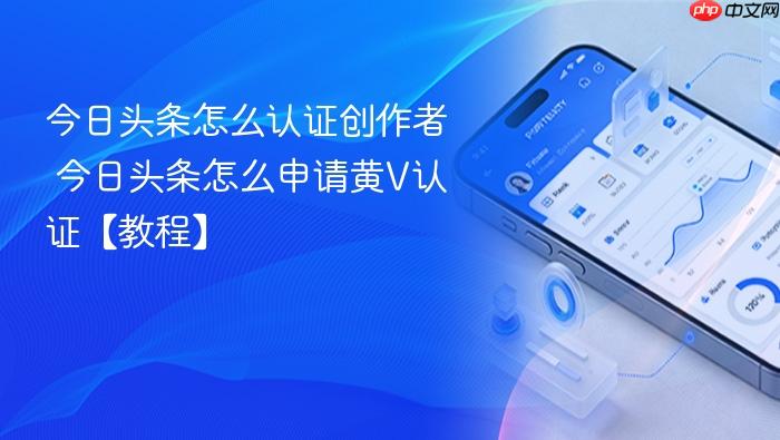 ����ͷ����ô��֤������