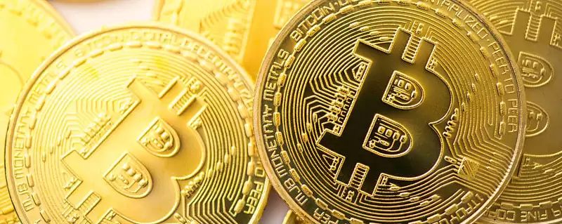 dogebull��ʲô��