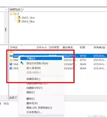 ���ͨ��FTP����������Դ- FTP����������Դ��ָ��