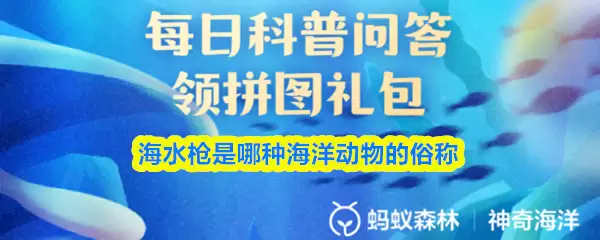 ��ˮǹ�����ֺ�������׳�